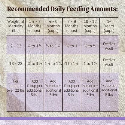 Merrick Lil’ Plates Premium Grain Free Dry Puppy Food for Small Dogs, Real Chicken and Sweet Potato Kibble - 12.0 lb. Bag