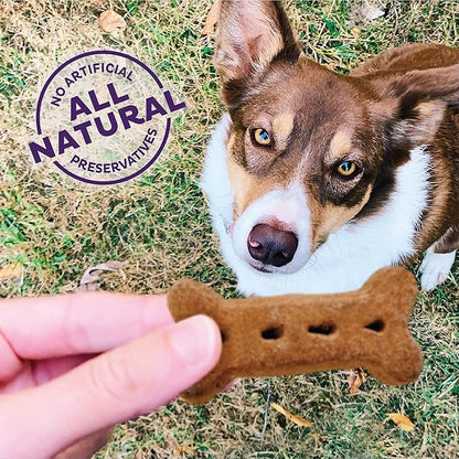 Old Mother Hubbard Wellness P-Nuttier Dog Biscuits,Natural,Training Treats,Peanut Butter Flavor,Large Size,(6 Pound Box),(Pack of 2)
