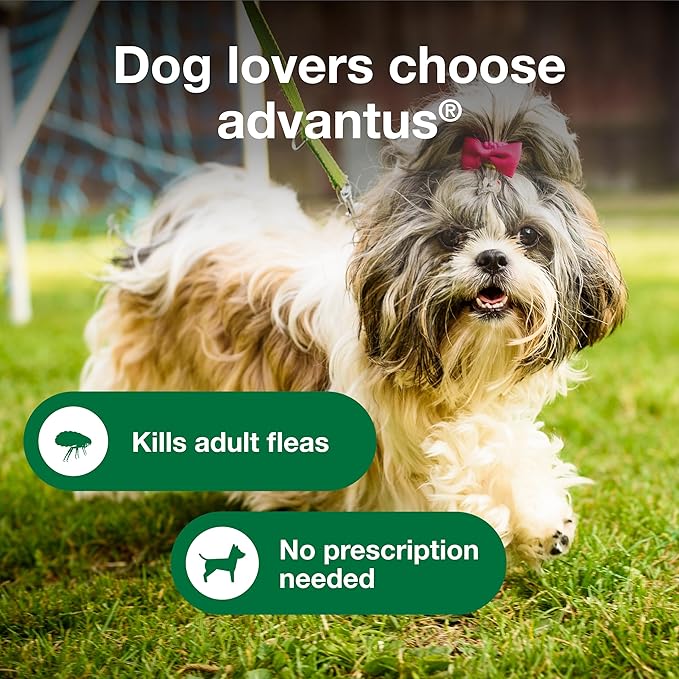 Advantus Dog Fast Acting Oral Flea Treatment Soft Chewable 4 - 22 lbs. | 7 ct.