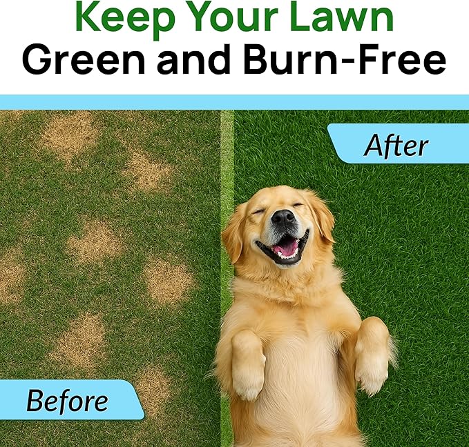 PAWFECTCHEW Green Grass Dog Chews w/Probiotics - Prevent Urine Burning Grass - Dog Pee Grass Spot Saver - Dog Urine Neutralizer for Lawn Treats, UT & Gut Health for Dogs, Lawn Burn from Dog Urine