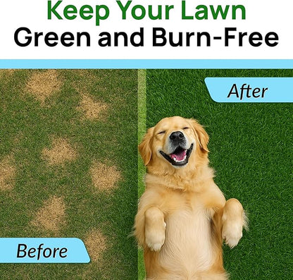 PAWFECTCHEW Green Grass Dog Chews w/Probiotics - Prevent Urine Burning Grass - Dog Pee Grass Spot Saver - Dog Urine Neutralizer for Lawn Treats, UT & Gut Health for Dogs, Lawn Burn from Dog Urine