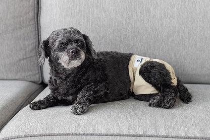 Pet Parents® Washable Dog Diapers (3pack) + Extendrs® of Durable Doggie Diapers, Premium Dog Diapers Female (X-Large, Spruce)