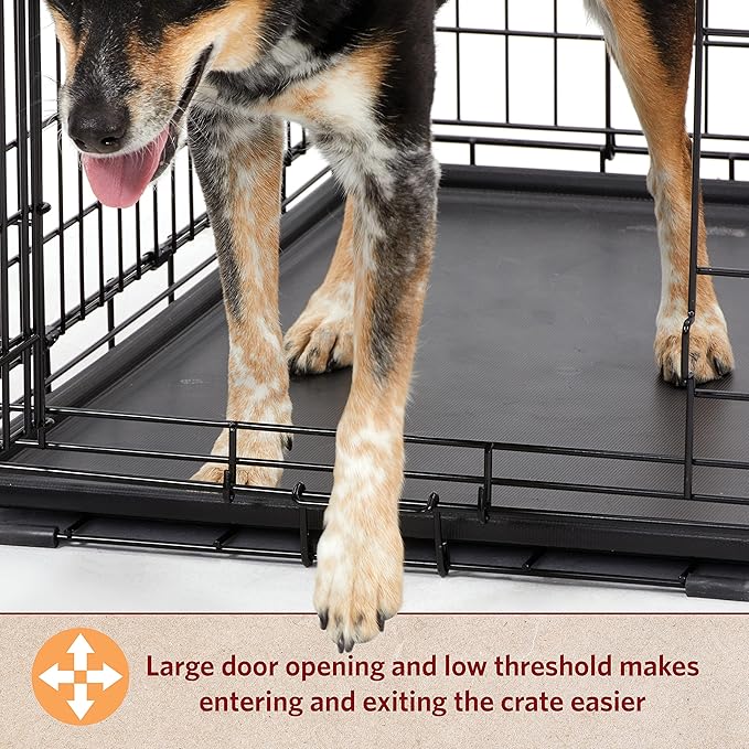 MidWest Homes for Pets 22-Inch LifeStages Crate for Extra-Small Breeds, Up to 15 lbs, Double Door Folding Dog Crate with Divider Panel, Leak-Proof Tray & Secure Latch, Heavy-Duty & Easy to Assemble