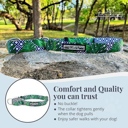 Lucky Love Dog Martingale Collar, Premium No Slip Martingale Collar for Medium Boy Dogs, Great for Whippets, Greyhounds, and More (Medium, Blue Laguna)