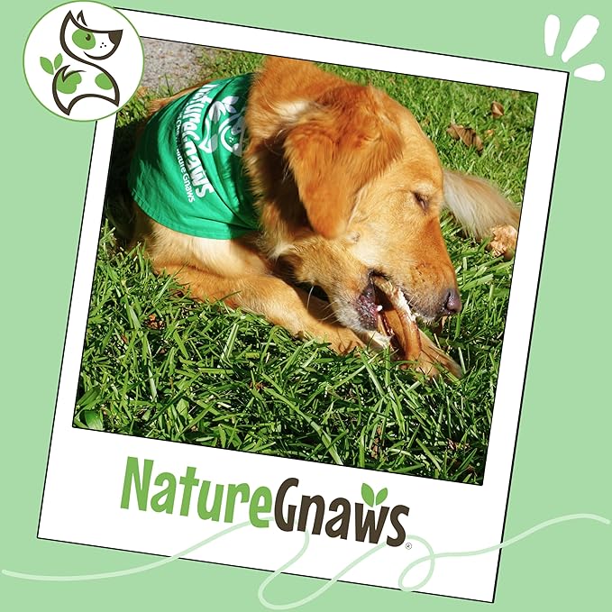 Nature Gnaws Bully Stick Rings for Dogs (5 Count) - Long Lasting for Aggressive Chewers - Natural Beef Dog Chew Bones - Rawhide Free