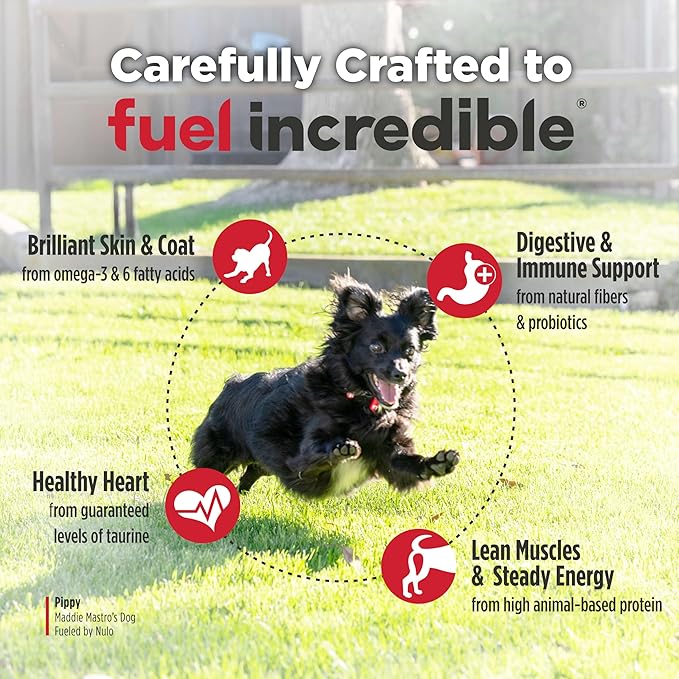 Nulo Freestyle Small Breed Dog Food Dry - Beef & Sweet Potato, Puppy & Adult Grain Free Dog Food, Natural, High Protein, Smaller Sized Kibble with BC30 Probiotic for Healthy Digestion Support, 14lb
