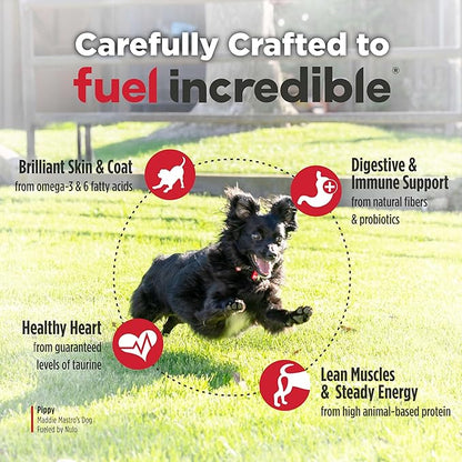 Nulo Freestyle Small Breed Dog Food Dry - Beef & Sweet Potato, Puppy & Adult Grain Free Dog Food, Natural, High Protein, Smaller Sized Kibble with BC30 Probiotic for Healthy Digestion Support, 14lb