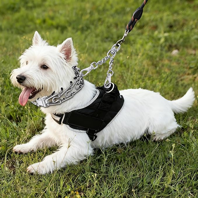 DEYACE Leash Backup with Dual Clasps Prong Collar Safety Clip Stainless Steel Dog Safety Clip Collars and No Pull Harness Connectors