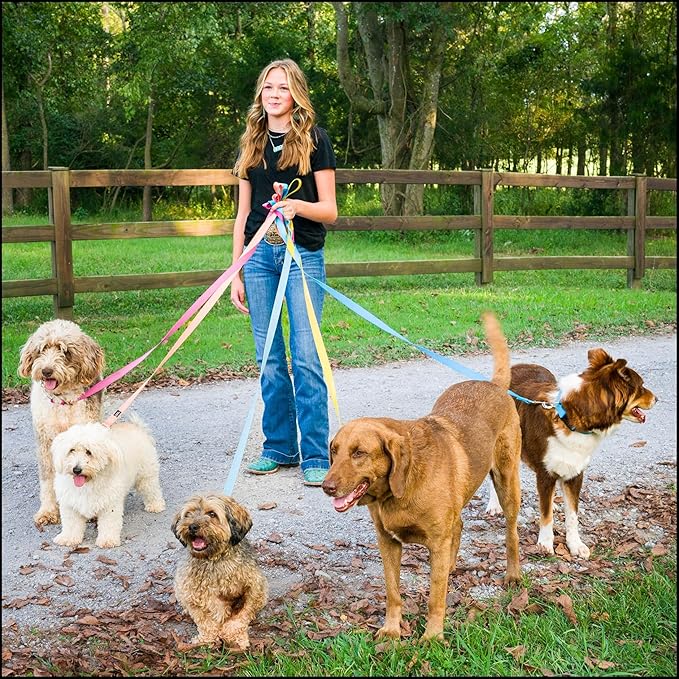 Country Brook Petz - Everyday Nylon Dog Collar for Large, Medium, and Small Dogs and Puppies - for Everyday Use in 10+ Warm Colors (Extra Large, 1 Inch Wide, Gold)