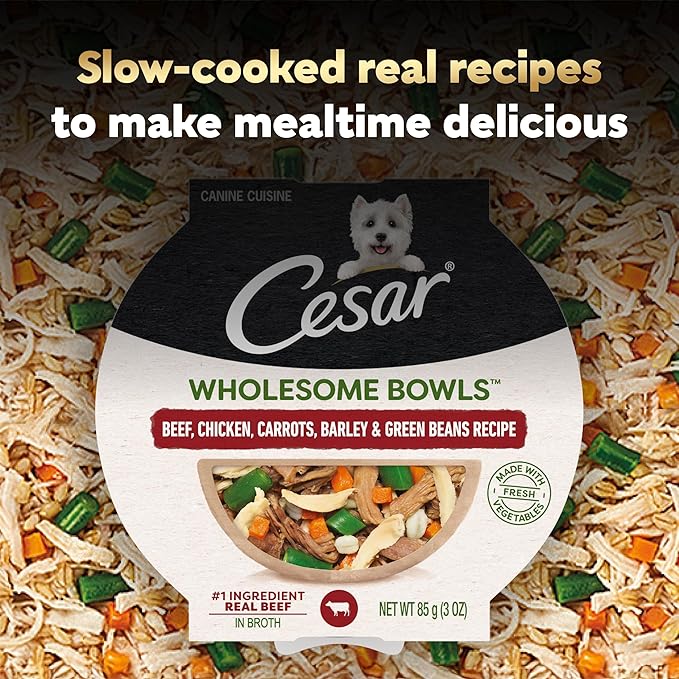 Cesar Wholesome Bowls Adult Wet Dog Food, Beef, Chicken, Carrots, Barley & Green Beans Recipe, Wet Food for Dogs, 3 oz., 10 Count