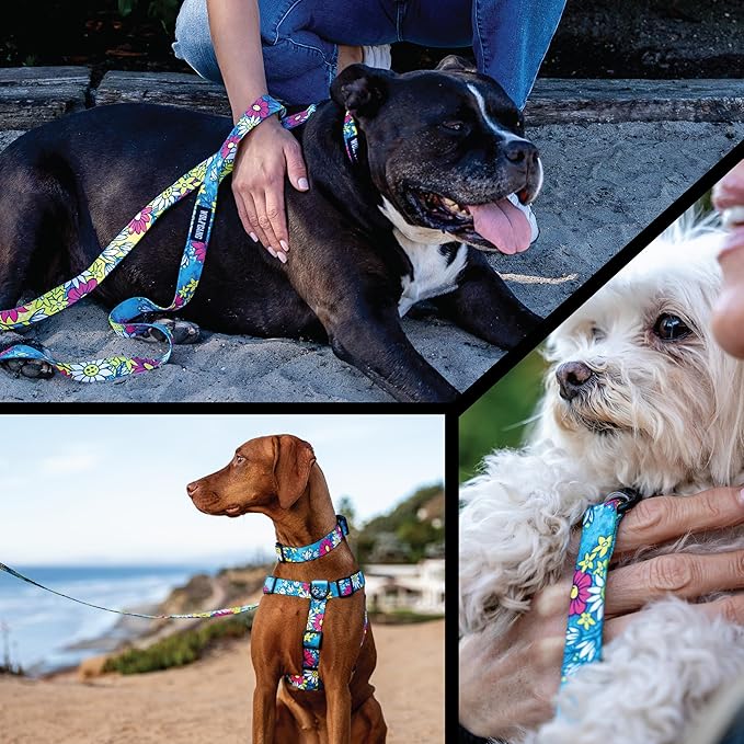 Wolfgang Heavy Duty Dog Leash, Pull-Tested for Walking & Training, LazyDaisy Print, Small