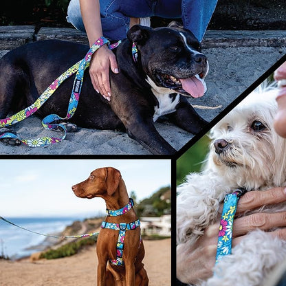 Wolfgang Heavy Duty Dog Leash, Pull-Tested for Walking & Training, LazyDaisy Print, Small