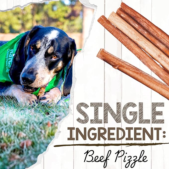 Nature Gnaws Bully Sticks for Dogs 5-6" (1Lb) - Mixed Thickness - Long Lasting for Aggressive Chewers and Large Dogs - Natural Beef Dog Chew Bones
