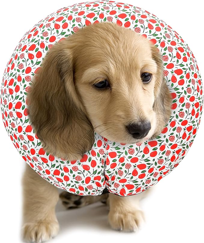 Protective Inflatable Collar for Dogs and Cats - Soft Pet Recovery Collar Does Not Block Vision, Prevents Pets from Touching Stitches, Wounds and Rashes (Floral - 1, Neck 6" - 8")