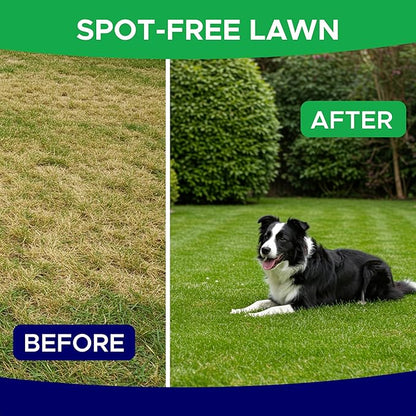 Green Grass Dog Chews - Pee Lawn Spot Saver - Grass Restore Treats - Dog Urine Neutralizer Solution for Grass Burn Spots - Made in USA - 120 Chews