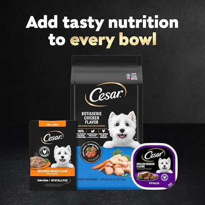 Cesar Filets in Gravy Wet Dog Food Filet Mignon Flavor and Rotisserie Chicken Flavor Variety Pack,Wet Food for Dogs,1.76 oz. Mini-Pouches,20 Count (Pack of 4)