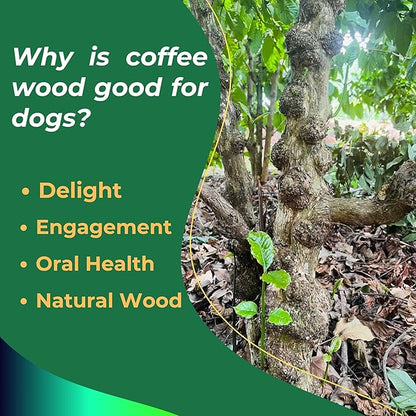 Gorilla Coffee Wood Dog Chew Stick Toy for Dog, Made from Real Coffee Wood, Sticks for Pets, Pets Health, Teeth Cleaning and Relieve Stress (Medium)