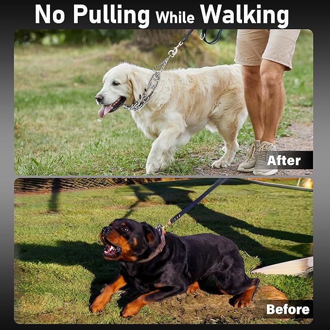 Dog Training Collar Adjustable Stainless Steel Collar with Quick Release Buckle for Small Medium Large Dog (XL Neck Girth 16.9"-22.2")