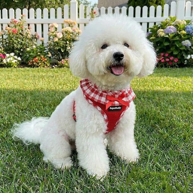 SuperBuddy Upgraded Soft Mesh Dog Harness, Super Breathable Lightweight Pet Harnesses for Puppy Dogs Outdoor Walking, Red Dog Harness -Small