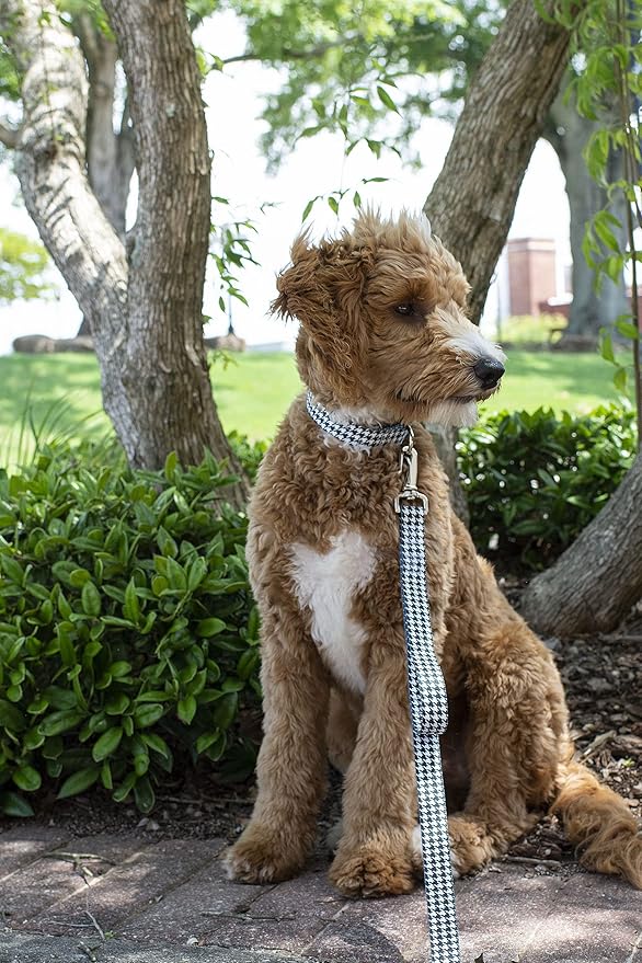 Country Brook Petz - Houndstooth Everyday Dog Collar and Leash - Sports and Athletics Collection Featuring Spirited Designs (5/8 Inch, Small)