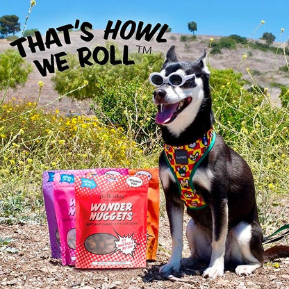 Polkadog Wonder Nuggets Soft & Chewy Dog Treats - Sweet Potato & Beef, All Natural, Limited Ingredient, Premium Training Treats for All Breeds, Great for Allergies, Made in USA - 10oz