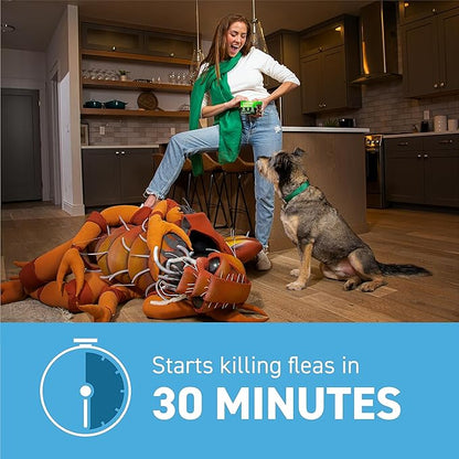 Capstar (Nitenpyram) Fast-Acting Oral Flea Treatment for Dogs 2-25 Lbs, Vet-Recommended Medication Tablets, Flea Tablets for Dogs Start Killing in 30 Minutes, 6 Doses