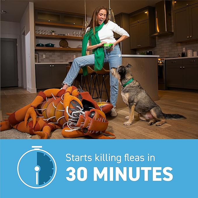 ADVECTA Flea and Tick Prevention for Small Dogs 4-10 lbs (2 Doses) + CAPSTAR Flea Treatment for Dogs 2-25 lbs (6 Doses) Bundle