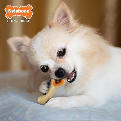 Nylabone Knuckle Bone Pop-In Treat Toy Power Chew Toy for Dogs, Interactive Treat Dispensing Enrichment Toys for Dogs, Long Lasting Chicken Flavor, X-Small Dogs - Up to 15 lbs