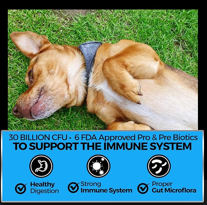 Pet Chef Probiotic Blend for Dogs with Prebiotics & Enzymes 140 Naturally Healthy Soft Chews for Digestion Gut & Skin Health Puppy-Friendly Improves Poop Stops IBS Low Calorie No Fillers