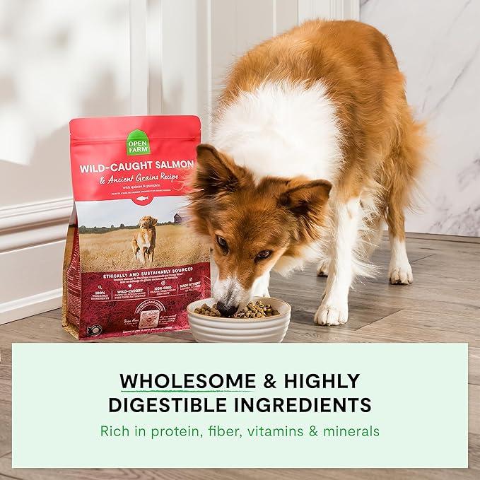 Open Farm, Ancient Grains Dry Dog Food, Protein-Rich & Nutrient Dense, 90% Animal Protein Mixed with Non-GMO Fruits, Veggies and Superfoods, Catch-of-The-Season Whitefish Recipe, 4lb Bag