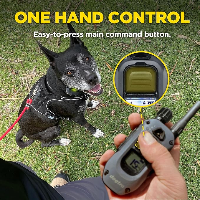 Dogtra 280X 2-Dogs E-Collar with Remote [New Edition] 10 lbs+, 1/2 Mile Range, LED Light, 100 Levels of Control for Stubborn Dogs, Waterproof, Boost for Quick Recall, Vibration, Safety Lock & Tone