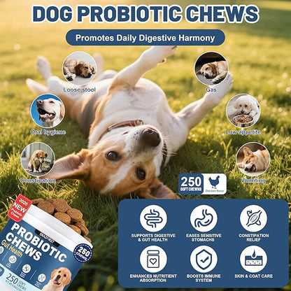 Probiotics for Dogs, Dog Probiotics Chews for Digestive Health & Gut Health, Improve Immune System,Constipation & Diarrhea Relief(Chicken Flavor, 250 Chews)