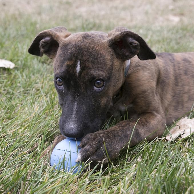 KONG Puppy Ball w/Hole - Soft & Durable Activity Ball for Puppies - Dog Toy Supports Healthy Exercise & Interactive Play - for Natural Teething - for Medium/Large Puppies - Randomly Provided Color