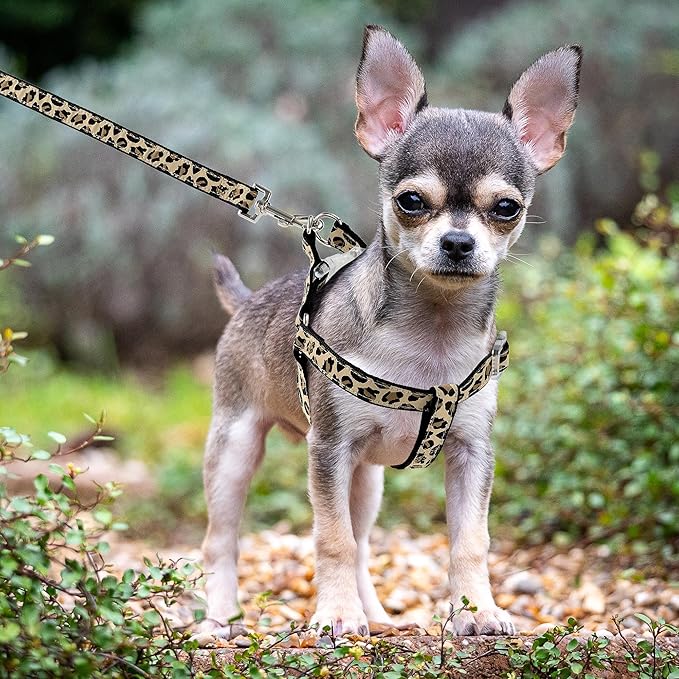 Mile High Life Leopard Dog Harness Collar Leash Set, Adjustable No Pull Dog Halter Harness for Small Breed Dogs, Easy Control for Training Walking (Black, S Chest 11"-18", Neck 10"-14")