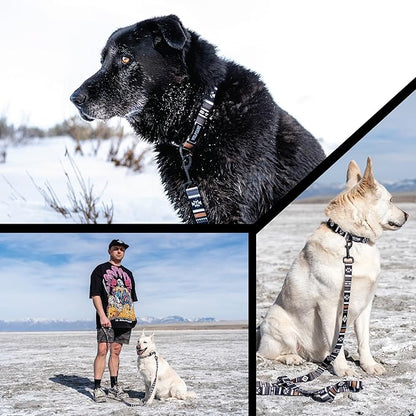 Wolfgang Heavy Duty Dog Leash, Pull-Tested to Over 800 lbs for Walking & Training, NewMoon Print, Small