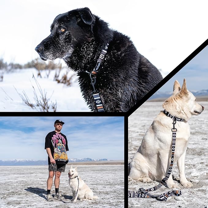Wolfgang Heavy Duty Dog Leash, Pull-Tested for Walking & Training, NewMoon Print, Small