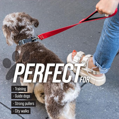 Traffic Handler - Short Dog Leash with Traffic Handle for Large Dogs - Made in USA - Great for Double Dog Couplers, Service Dogs, and Training (18 Inch, Classic Black)