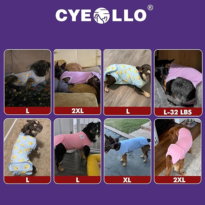 cyeollo Dog Surgery Recovery Suit Soft Breathable Female Male Pet Bodysuit for Spay, Neuter, Surgical Recovery Shirt for Small Medium Large Dogs, Purple, L