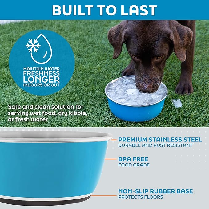 Master Pet Supply Stainless Steel Dog Bowls Set of 2 (16 Oz Each) with Non-Slip Rubber Base - Glacier Blue - Basic Dog Food Bowl Water & Food Bowls for Small Medium Large Dogs & Cats, Metal Dish