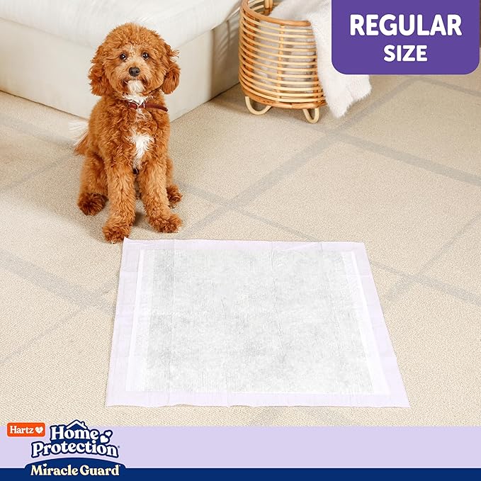 Hartz Miracle Guard Dog and Puppy Dog Pads Max Absorbency 24 Hour Use Odor Eliminating Lavender Scented No Leaks, Regular Size 50 Count