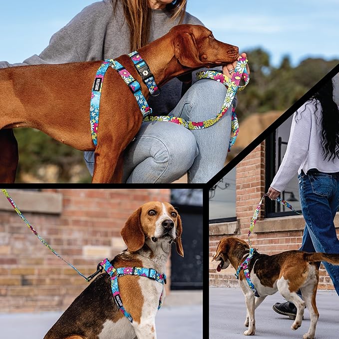 Wolfgang Heavy Duty Adjustable Dog Harness, Pull-Tested for Walking & Training, LazyDaisy Print, X-Large