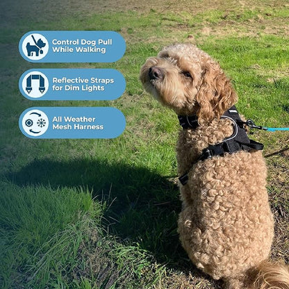 Voyager Dog Harness Dual Leash Attachment No-Pull Control Adjustable Soft but Strong Pet Harness for Medium and Large Dogs with 3M Reflective Technology, Black Nylon, XL (Chest: 28-37")