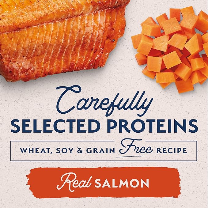 Natural Balance Limited Ingredient Adult Grain-Free Wet Canned Dog Food, Sweet Potato & Salmon Recipe, 13 Ounce (Case of 6)