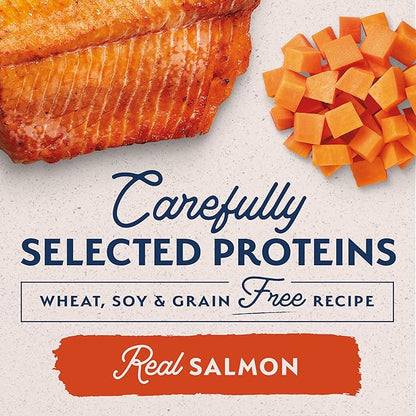 Natural Balance Limited Ingredient Adult Grain-Free Wet Canned Dog Food, Sweet Potato & Salmon Recipe, 13 Ounce (Case of 6)
