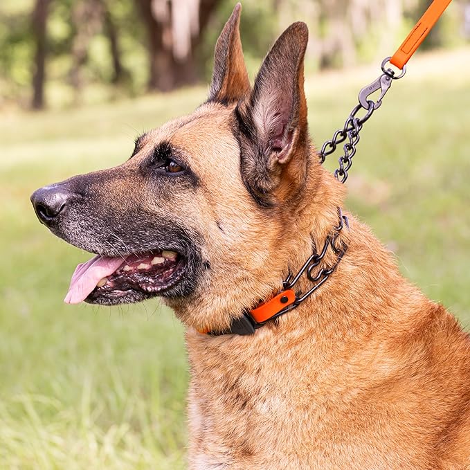 Herm Sprenger Black Stainless Steel Dog Collar with Quick Release ClicLock Buckle O-Ring Biothane Insert Training Collar Made in Germany (Hunter Orange, 25in x 4.0mm(Neck Size up to21-22in))