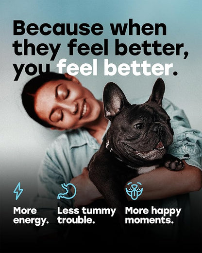 Probiotics for Dogs – Gut Health Support for Less Gas, Better Digestion & Regular Stools – Soft Beef Chews with Digestive Enzymes, Prebiotics & Fiber – 140 Count