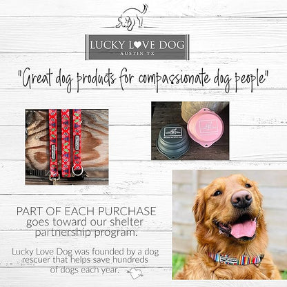 Lucky Love Dog - Adjustable Dog Collar with Easy Click Buckle for Small Ones, Durable, & Comfortable for Male & Female Dogs, Pet Collar for Puppies & Adult Dogs - Chilly, XS