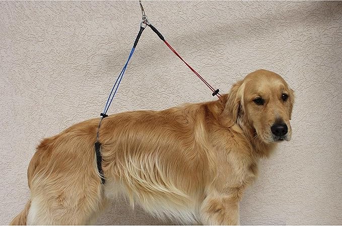No Sit Haunch Holder Dog Grooming Restraint Restraint for Large dogs (Large: 21" and 24") by Downtown Pet Supply