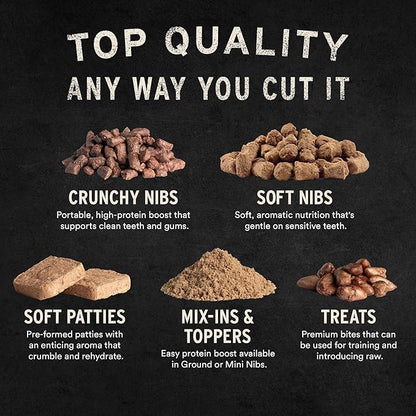 Vital Essentials Freeze Dried Dog Treats | Salmon Bites, Single Protein | Premium Quality | Grain Free Training Treats for Dogs, 2.5 oz Bag