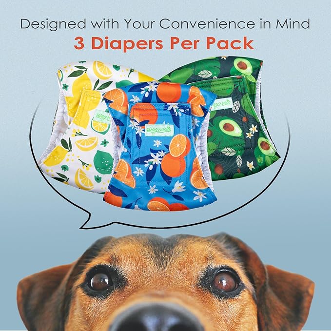 wegreeco Washable Male Dog Belly Band (Stylish Pattern)- Pack of 3 - Washable Male Dog Belly Wrap, Dog Diapers Male (Fruit, Small)